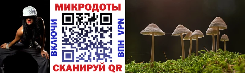 Псилоцибиновые грибы Magic Shrooms  Купить  Санкт-Петербург 